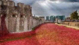 Gyönyörű emléket állítottak Londonban a világháborús hősöknek