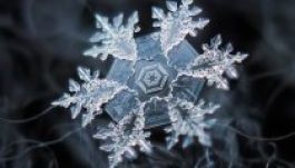 Lélegzetelállító fotókat készített hópelyhekről egy orosz fotográfus