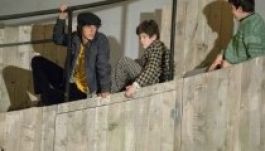 Óriási érdeklődés A Pál utcai fiúk vásárhelyi bemutatója iránt