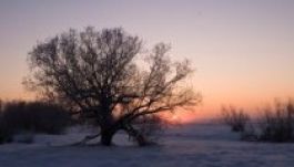 Máris -51 fokot mértek, pedig a meteorológiai tél el sem kezdődött