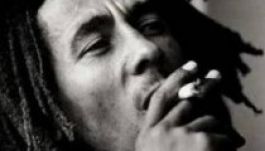Bob Marleyról nevezték el az első marihuána-világmárkát