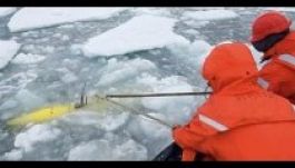 Meglepő felvételeket küldött Antarktisznál víz alá küldött robot