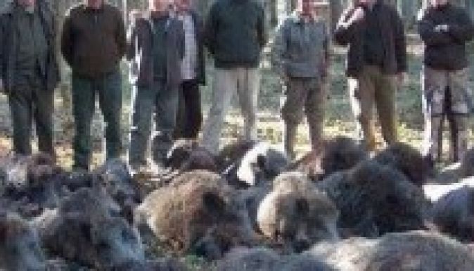 Szombaton kezdődik Ţiriac birtokán a bályoki vadászorgia