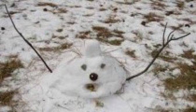 Nem mértek még az ideinél melegebb évet