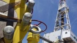 A V4-ek az amerikai palagáz európai exportálásáról tárgyaltak