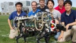 Embert is menthet a gepárdrobot