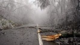 Nagyon megsínylette Magyarország az időjárást