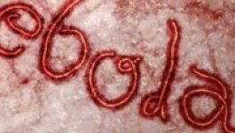 Ebolamentesnek nyilvánították Spanyolországot