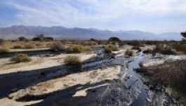 Izraelben gőzerővel dolgoznak az olajkatasztrófa hatásainak elhárításán