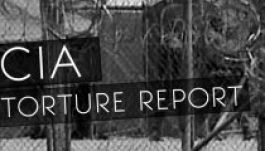 Erőszakot szülhet a CIA kínzótechnikáinak nyilvánosságra hozása
