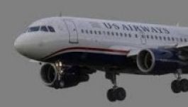 Orrfacsaró bűz miatt hajtottak végre kényszerleszállást