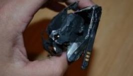 Alvó tulajdonosa mellett robbant fel az okostelefon