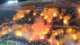 A legvadabb dél-amerikai galerik megirigyelhetik ezt a koreográfiát