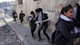 A palesztinok többsége harcolni szeretne Izrael ellen