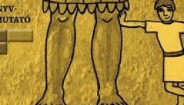 Két könyvbemutató az új kolozsvári könyves kávéházban