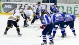 HSC Csíkszereda – Miskolci Jegesmedvék: közel volt a három pont