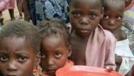 Éhínséget hoz magával az ebolajárvány