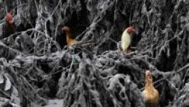 Ezek voltak az év legjobb fotói a Time szerint (GALÉRIA)