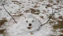 Nem mértek még az ideinél melegebb évet