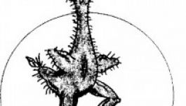 Az oktatási törvény módosítását javasolja a MAKOSZ