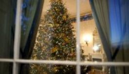 Így néz ki az Obama család karácsonyfája