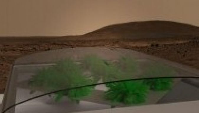 Salátatermesztést terveznek a Marsra