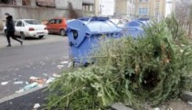 Már nagyon sok karácsonyfát dobtak ki Sepsiszentgyörgyön