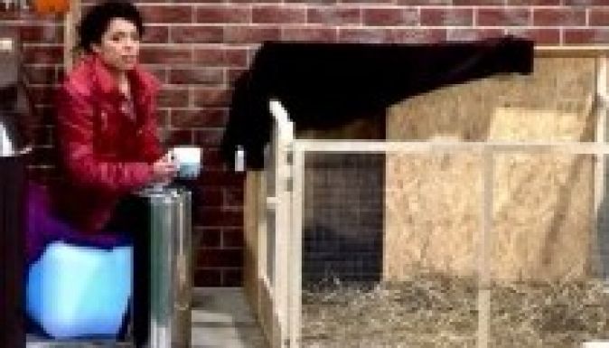 Egy malacnak énekelt a Való Világ baróti versenyzője (VIDEÓ)