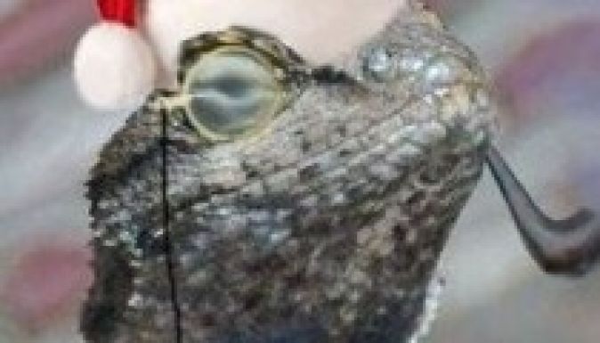 Hackerek vállalták magukra a Facebook keddi leállását