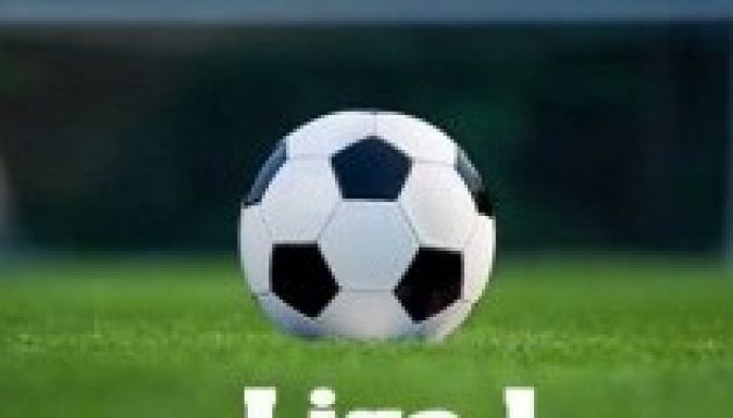 Tizennégy csapatos lesz a Liga 1 2015-16-os mezőnye