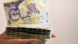 Felmérés: 2000 lejből tisztességesen meg lehet élni