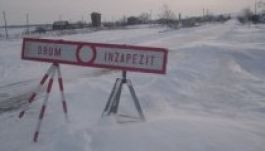 Kigyomlálták a hó felfogására ültetett akácokat egy aradi útról