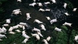 Időzített bomba a közel kétezer ember halálát okozó tó