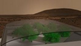 Salátatermesztést terveznek a Marsra