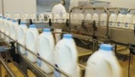 Bezárt tavaly a tejgyárak csaknem 30 százaléka