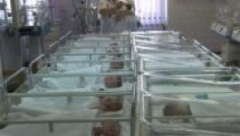 Sok András és Mária született tavaly Kolozsváron