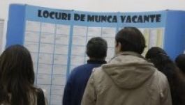 Csökkent novemberben a munkanélküliek száma