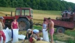 Jó mezőgazdasági évet zárt Maros megye