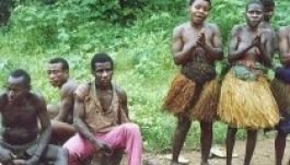 Pigmeusokkal hallgattattak nyugati zenét