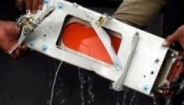 Részletek derülhetnek ki a maláj gép lezuhanásának körülményeiről