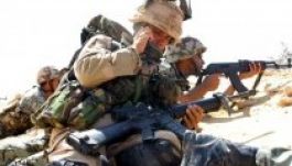 Hollandia lépett elő a román hadiipar legfontosabb megrendelőjévé