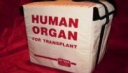 Spanyolország vezeti a szervtranszplantációs világstatisztikát