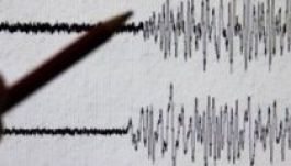 Újabb földrengést észleltek Székelyföld közelében