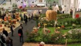 Megnyílt Berlinben a Nemzetközi Zöld Hét mezőgazdasági vásár