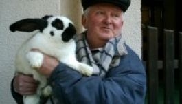 Kisállat-kiállítást tartottak a szatmárnémeti strandon