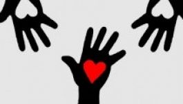 Közönségszervezőt keres a kolozsvári magyar bábtagozat