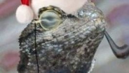 Hackerek vállalták magukra a Facebook keddi leállását