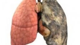 Sokkoló videóval kampányolnak a cigi ellen Kínában