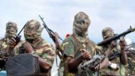 Minihadsereg indul a Boko Haram ellen