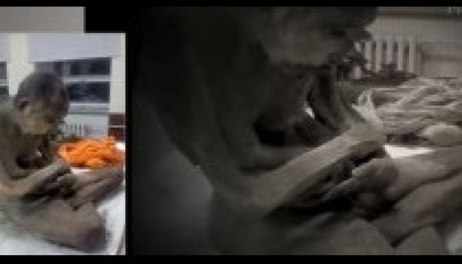 Nem mumifikálódott, csak mélyen meditál a 200 éves szerzetes?